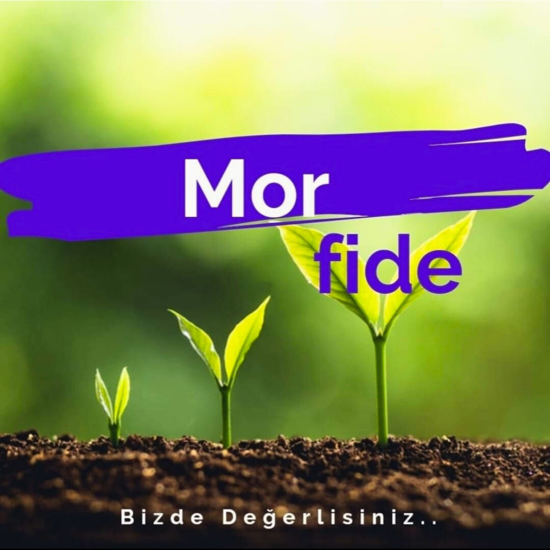 Mor Fide