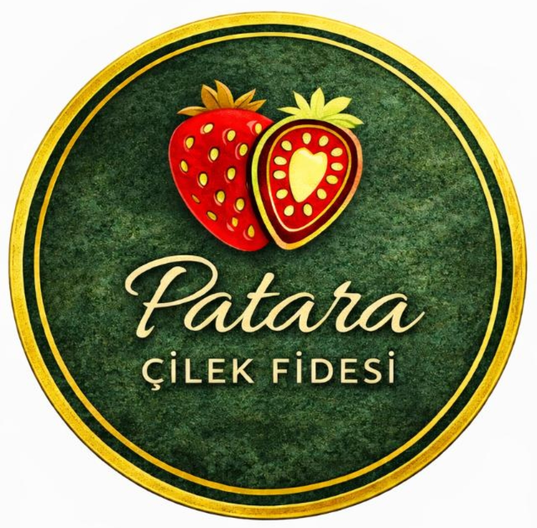 Patara Strawberry Seedlings